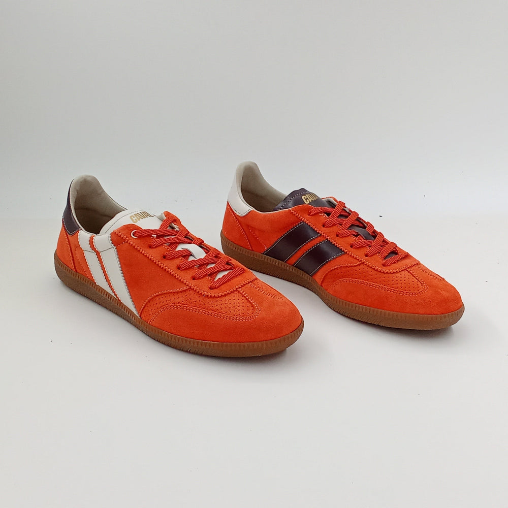 Proto - Toffee Tangerine - 38