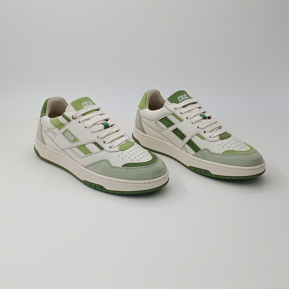 Proto - Matcha Dream - 42