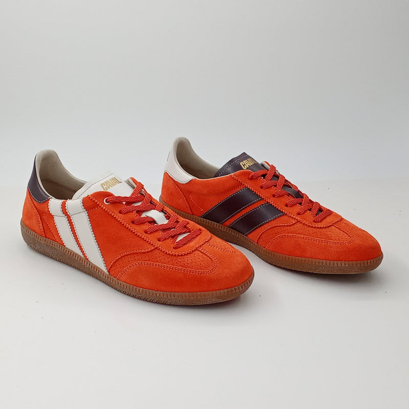 Proto - Toffee Tangerine - 38