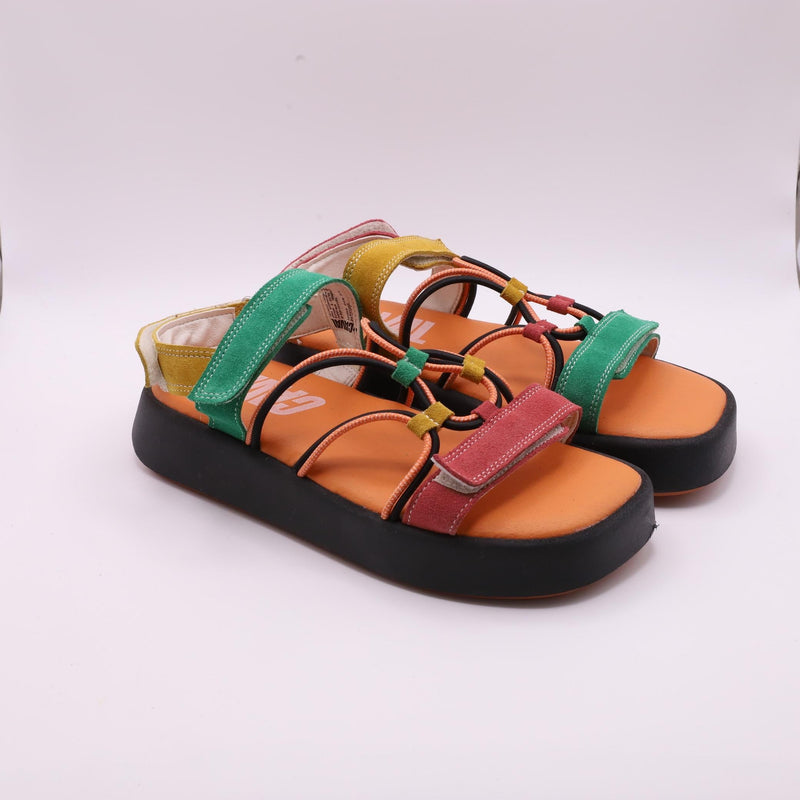 Proto - Solar - Tropical Flamingo - 38