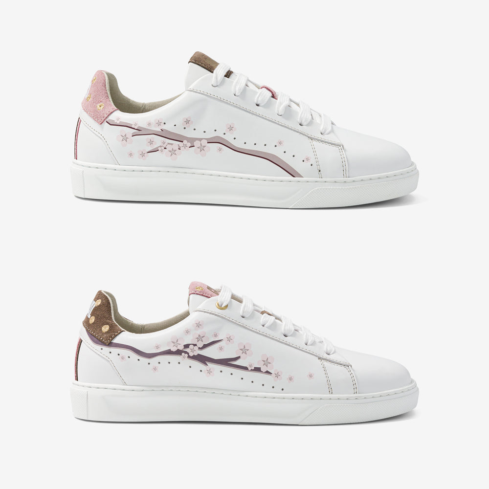 Pink Cherry Blossoms