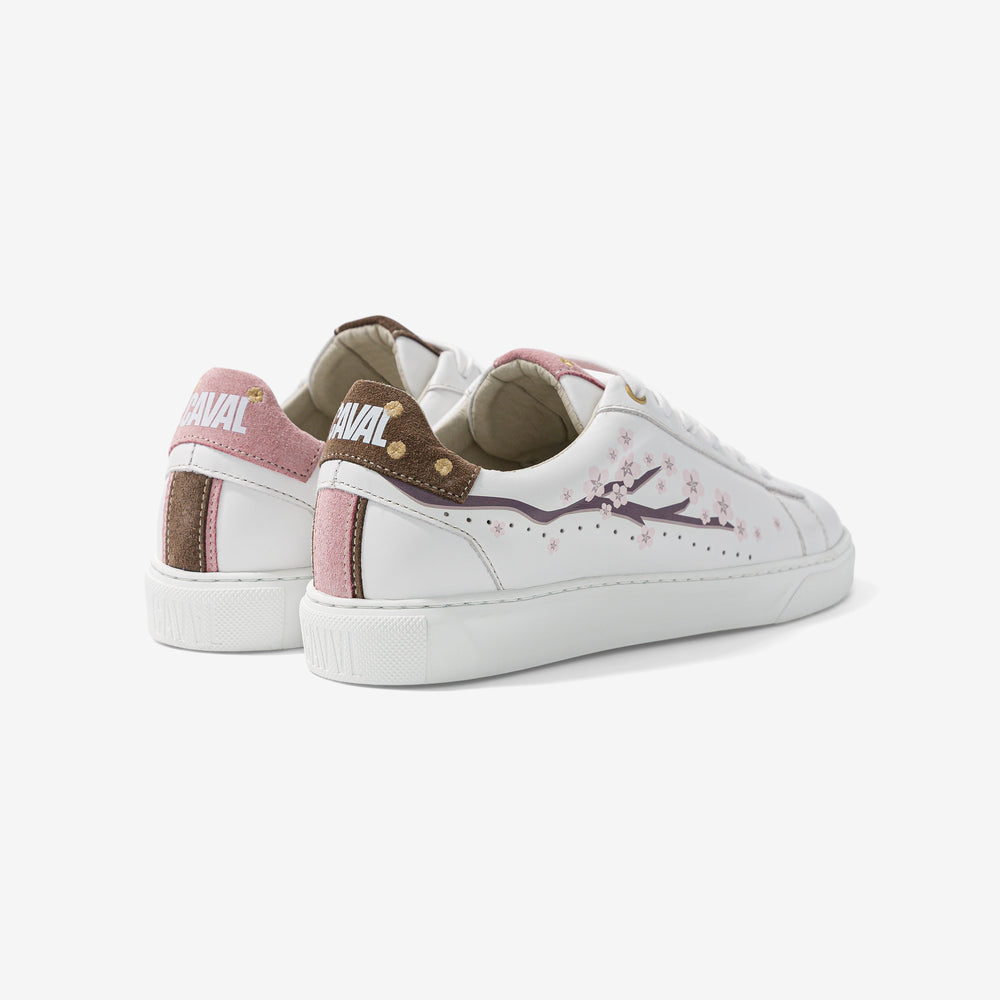 Pink Cherry Blossoms