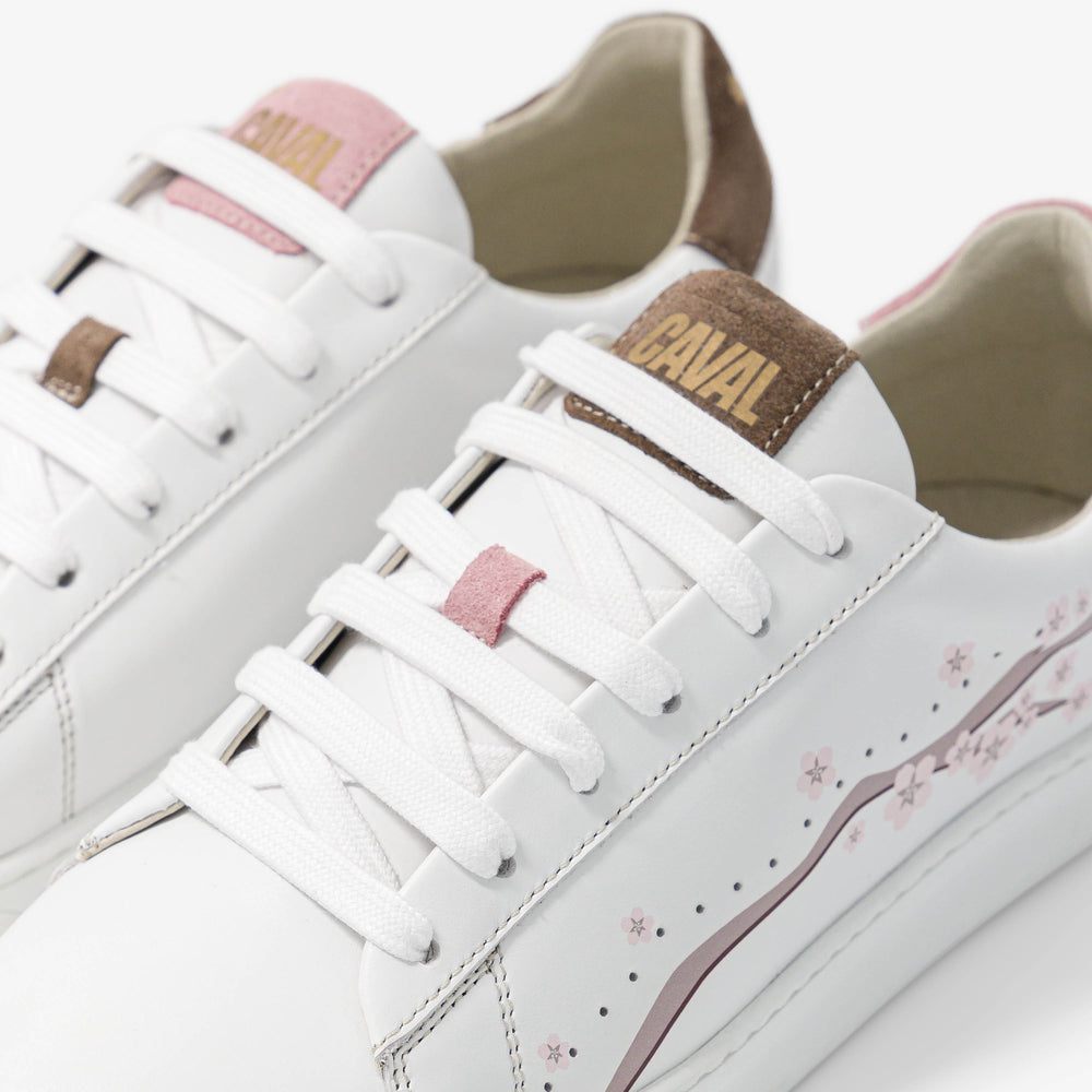 Pink Cherry Blossoms