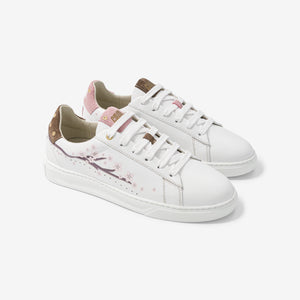 Pink Cherry Blossoms