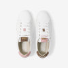 Pink Cherry Blossoms