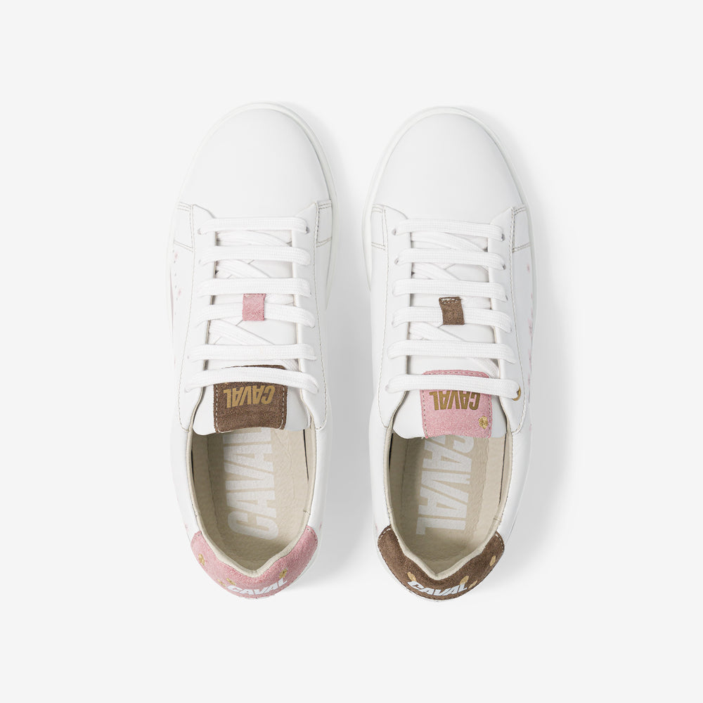 Pink Cherry Blossoms